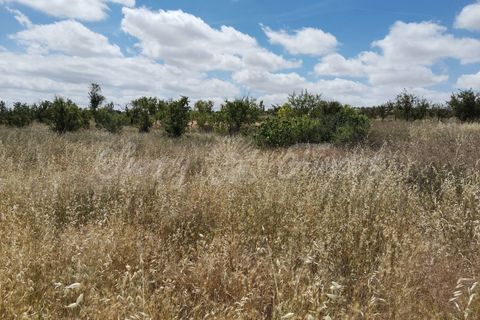 Landejendom i Yecla, Murcia, Yecla - € 65.000 | Ref: SF0314 - foto 25